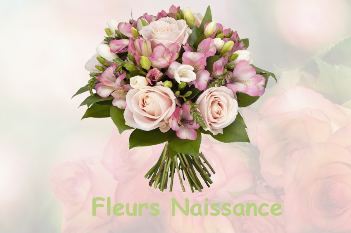fleurs naissance AISEY-ET-RICHECOURT
